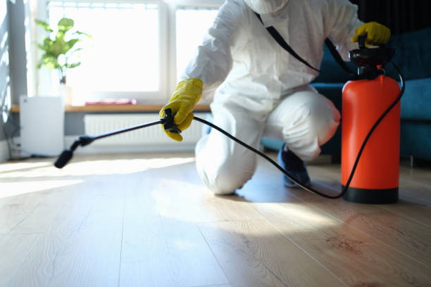 Reliable Odor Removal contractor in Mountlake Terrace, WA by Trauma Clean Pros